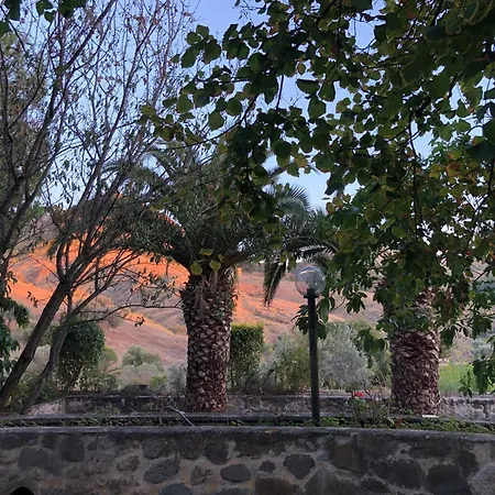 Il Castello Degli Ulivi - In Natura *