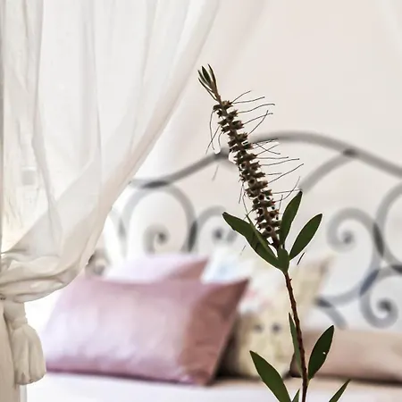 Il Castello Degli Ulivi - In Natura Ferienhaus