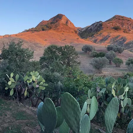 Il Castello Degli Ulivi - In Natura * Roccella Ionica