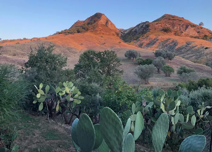 Il Castello Degli Ulivi - In Natura * 罗切拉伊奥尼卡